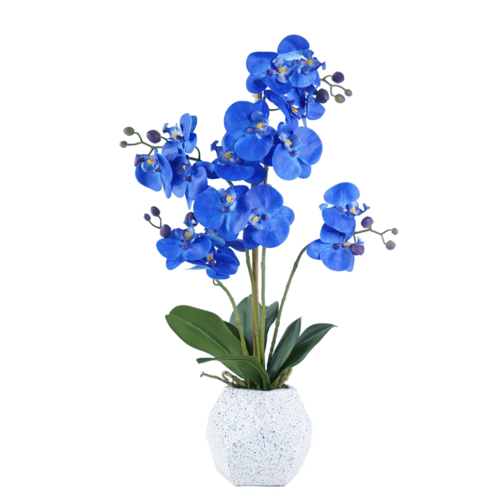 DEACON Orchid Arrangement Decor Blue