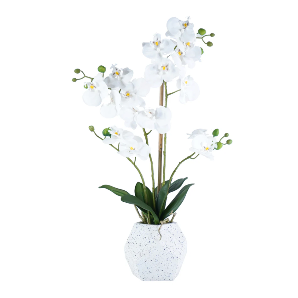 DEACON Orchid Arrangement Decor White