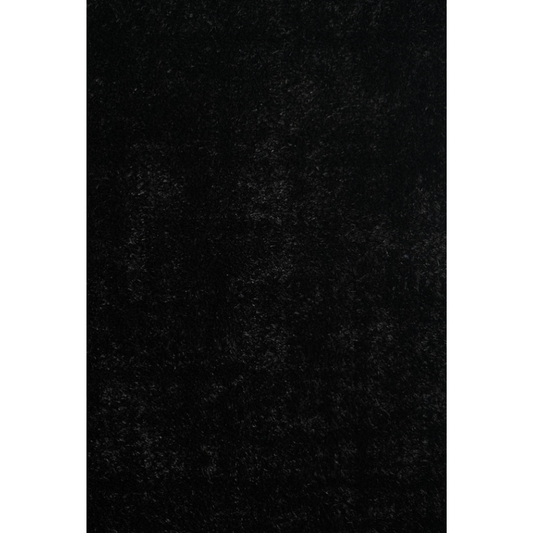 DINA Spaghetti Shag Area Rug 5x7 Black