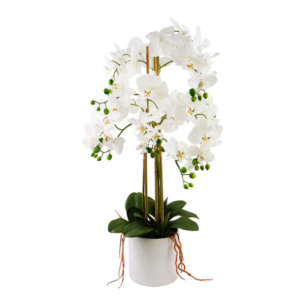 TYLER Artificial Orchid Arrangement White