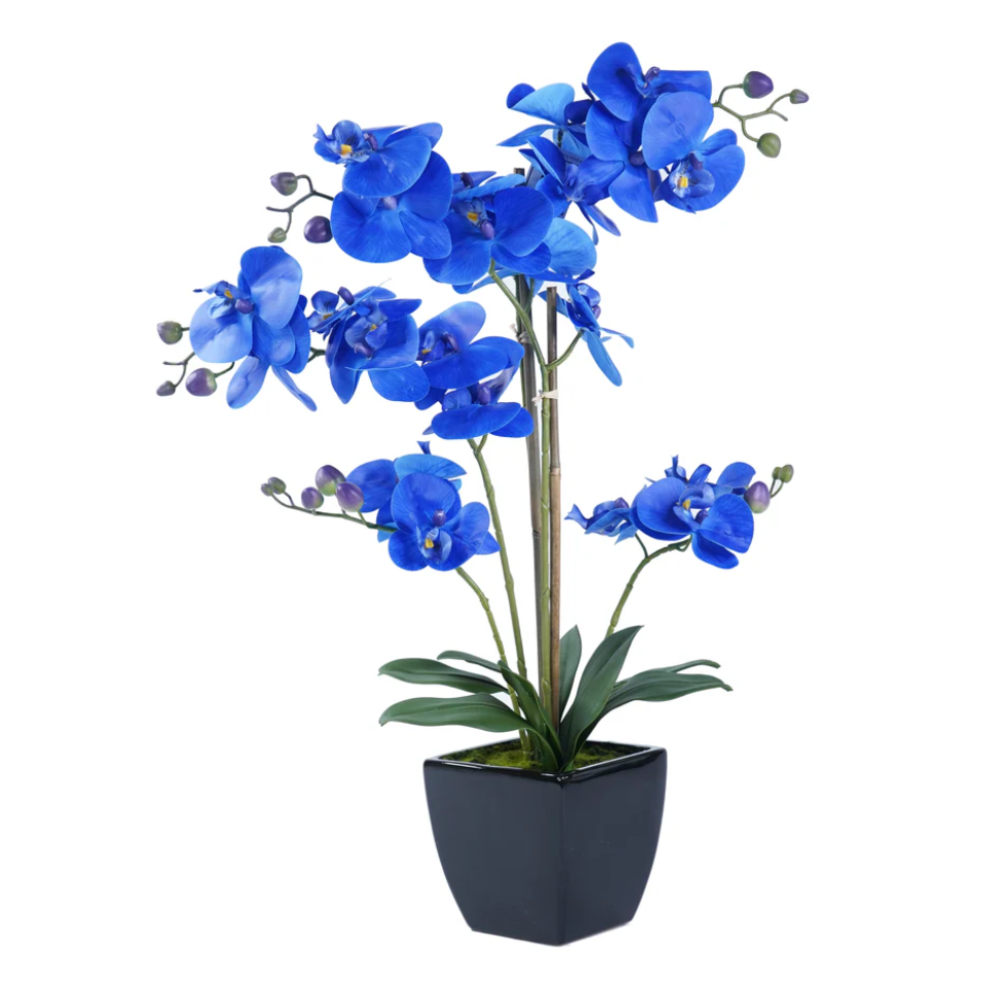 BYRON Orchid Arrangement Decor Blue