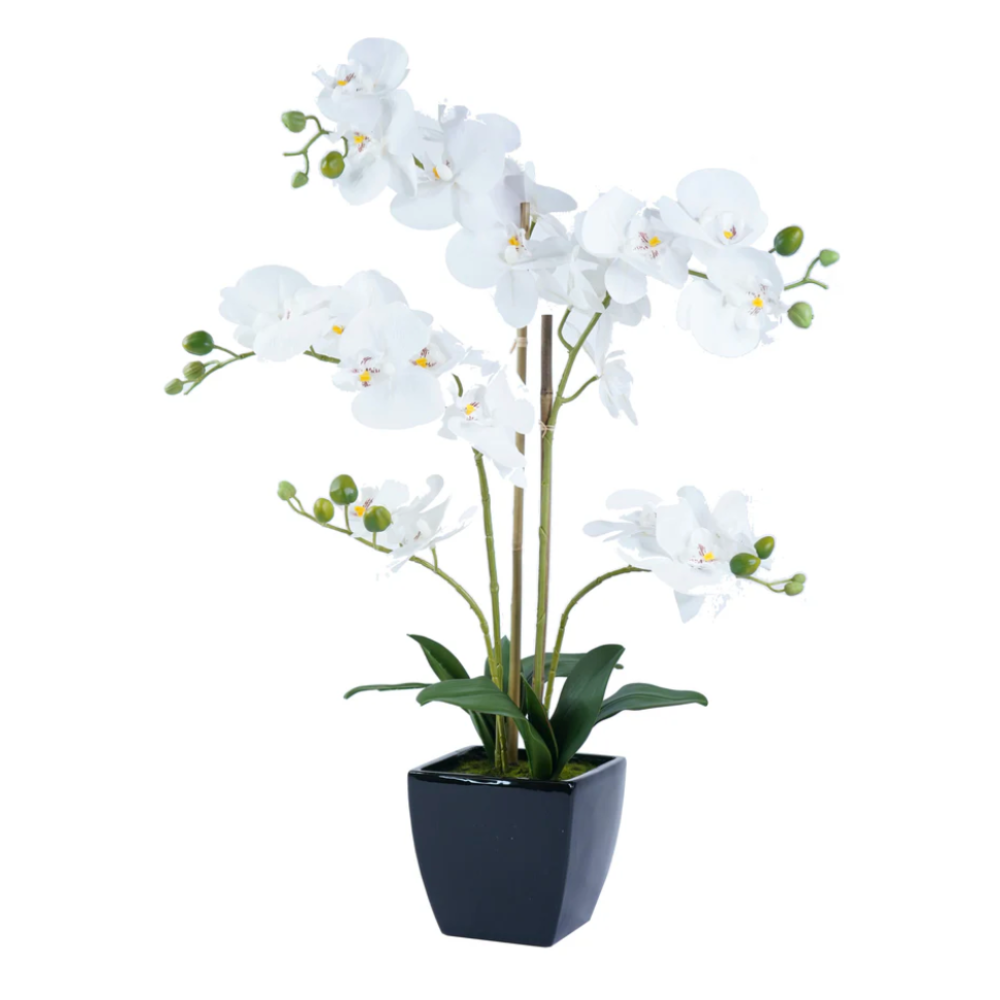 BYRON Orchid Arrangement Decor White