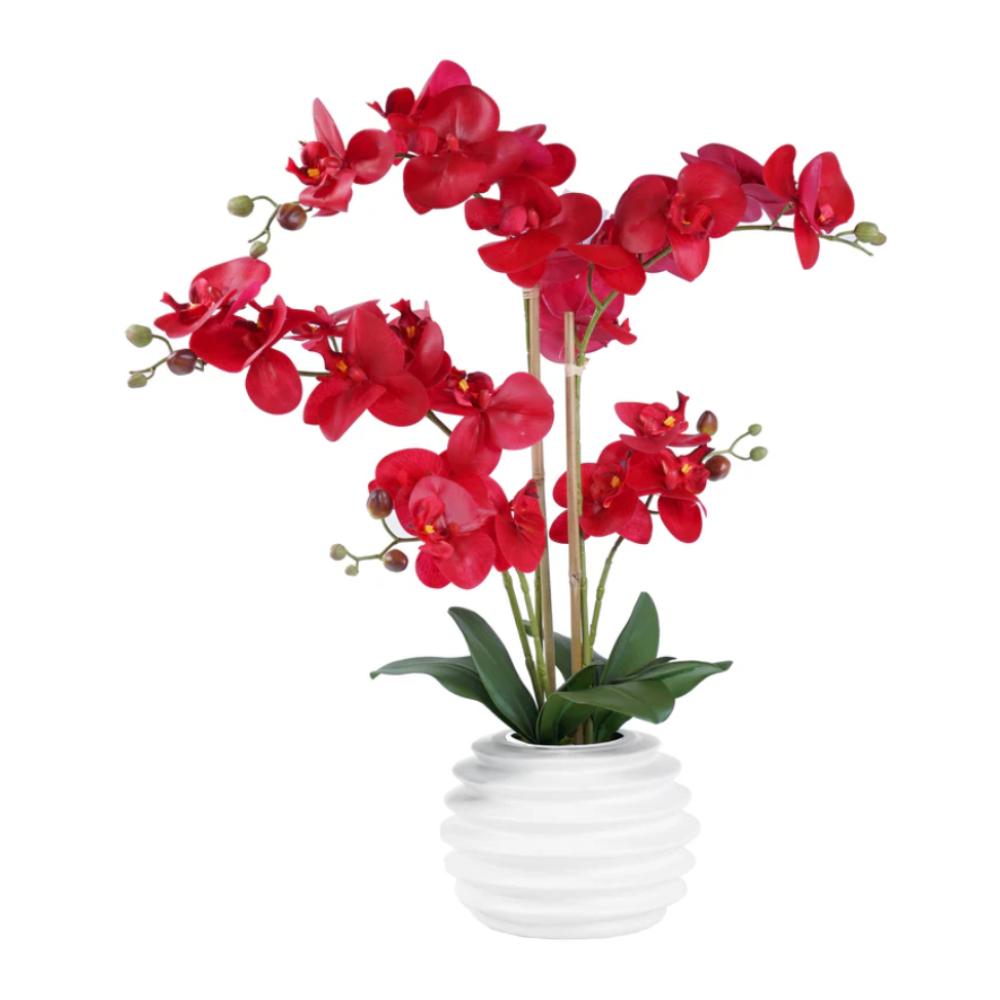 BARRETT Orchid Arrangement Decor Red