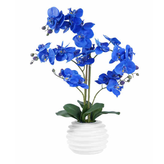 BARRETT Orchid Arrangement Decor Blue