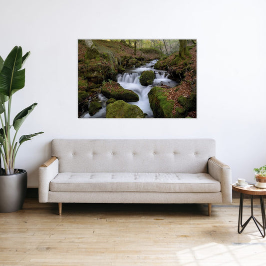 MOSSY Stream and Forest Harmony Modern Wall Art