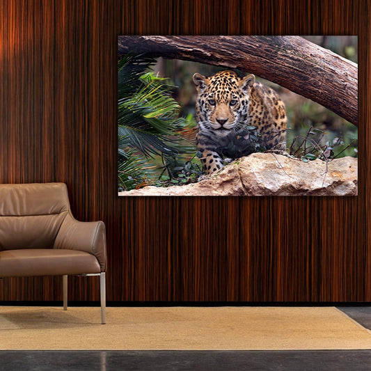 SAFARI Baby Jaguar Modern Wall Art